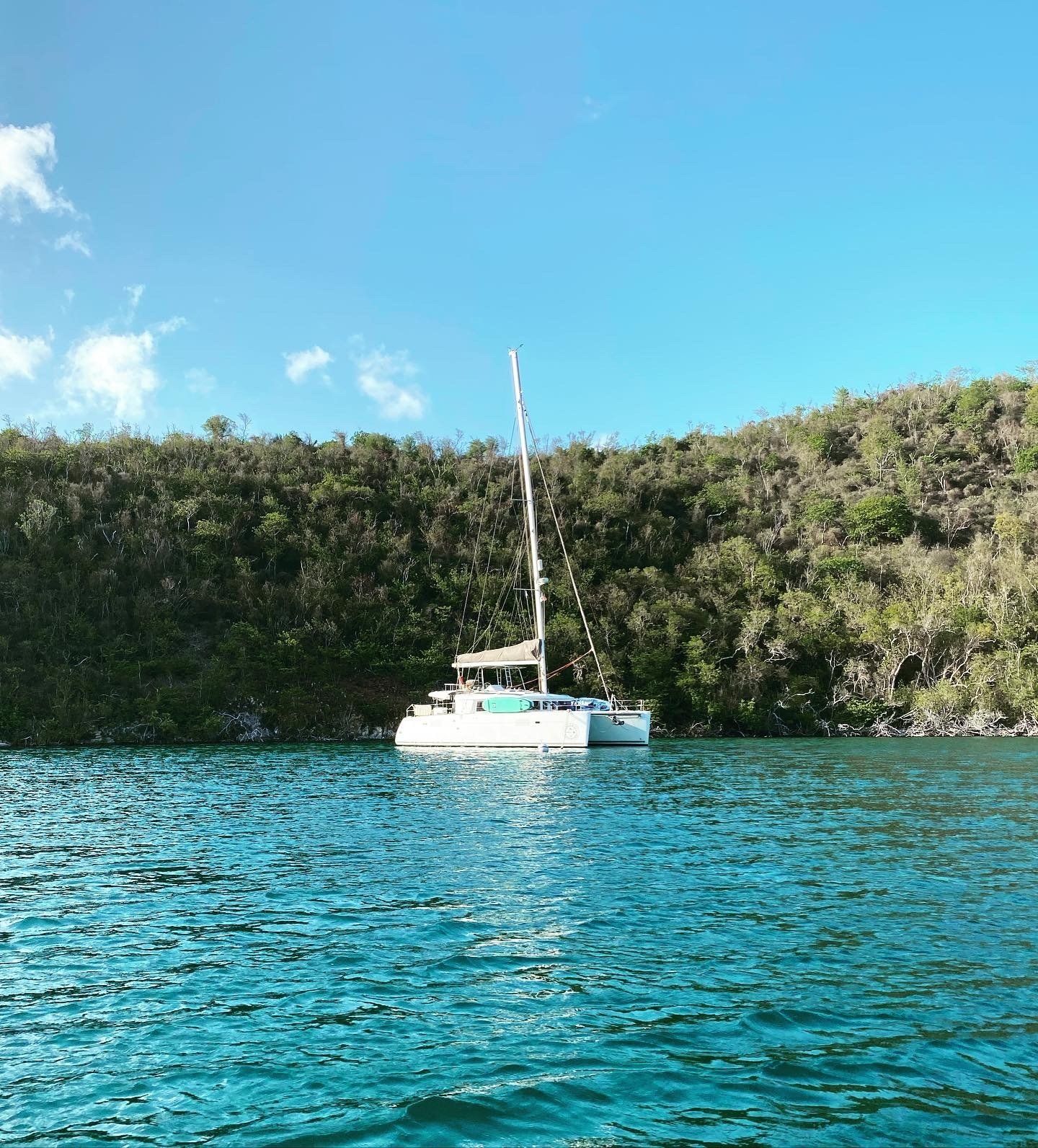 A sailing catamaran anchored in clear turquoise water beside a green shoreline