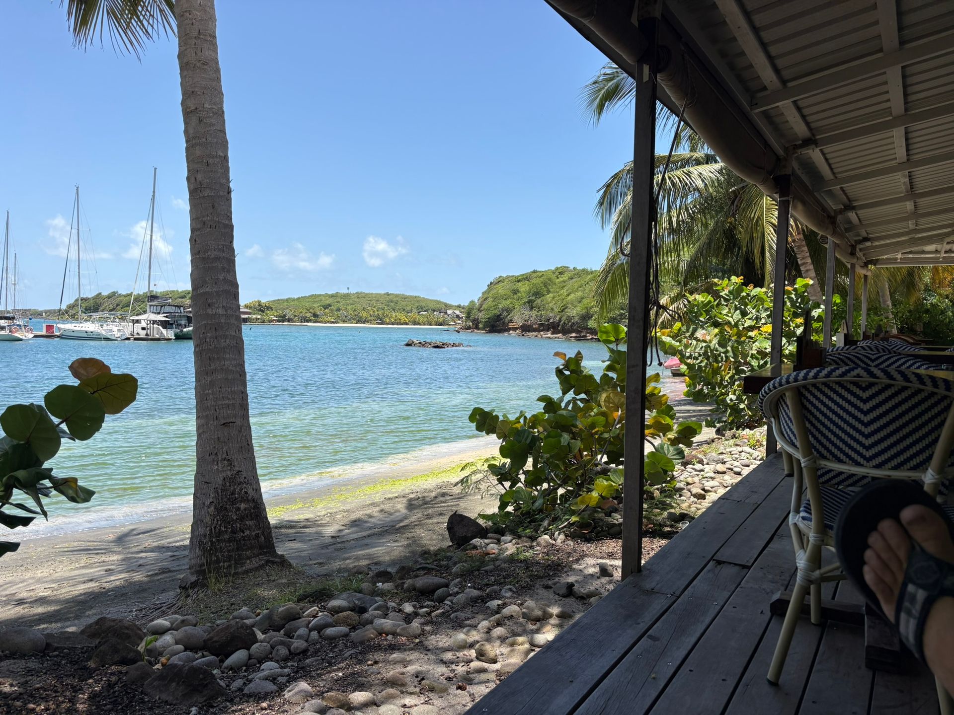 A palm-lined island shoreline with calm water and a shaded waterfront terrace
