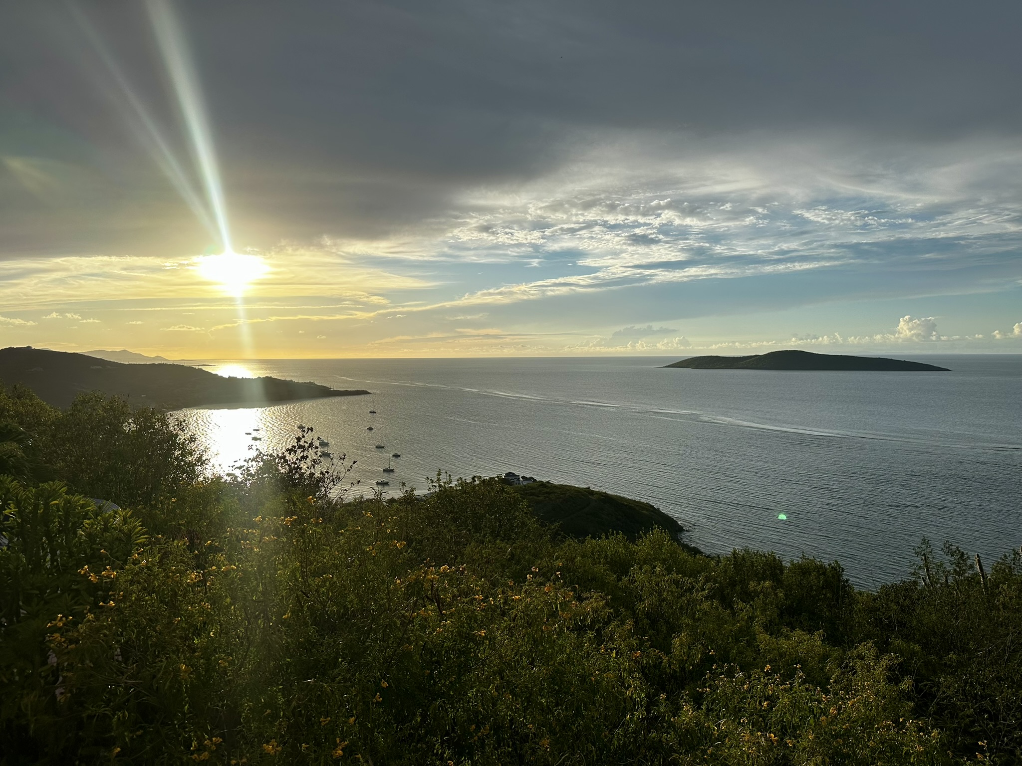 Warm evening light across an island bay