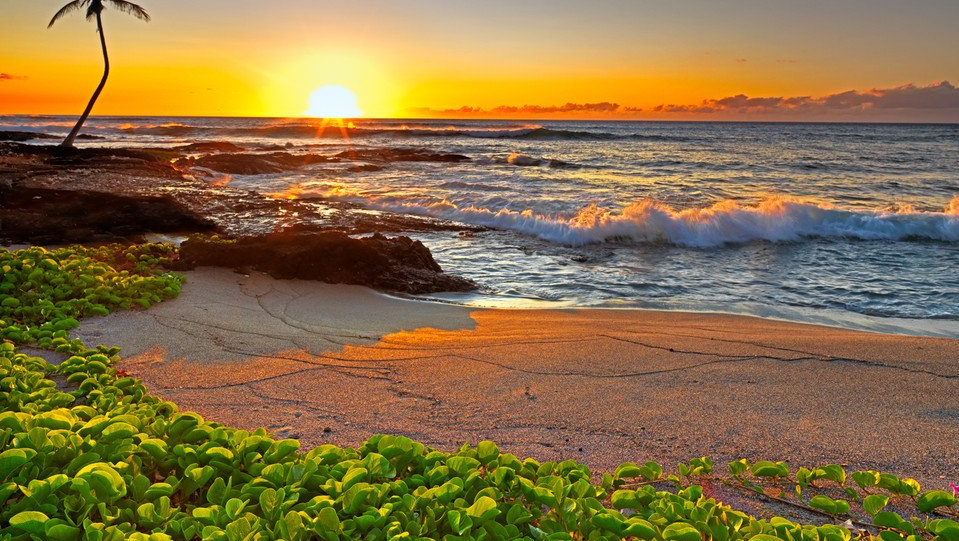 Golden sunset over the sea and a sandy shoreline